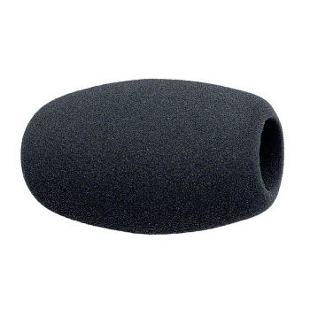 Sennheiser MZW 1