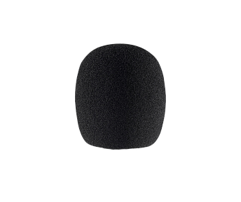 Sennheiser MZW 8000 Sennheiser MZW 8000