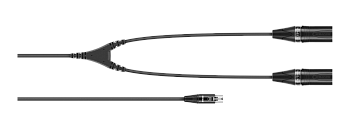 Sennheiser CA 6042 XLR
